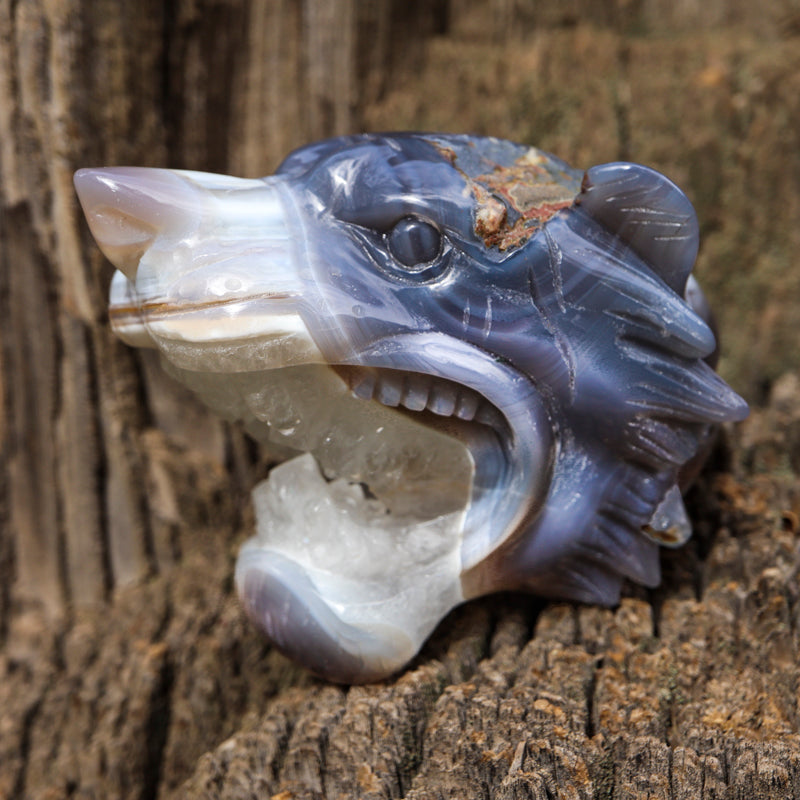 Gray Banded Agate Tiger with Quartz Crystal Carvings Crystal Magic online 