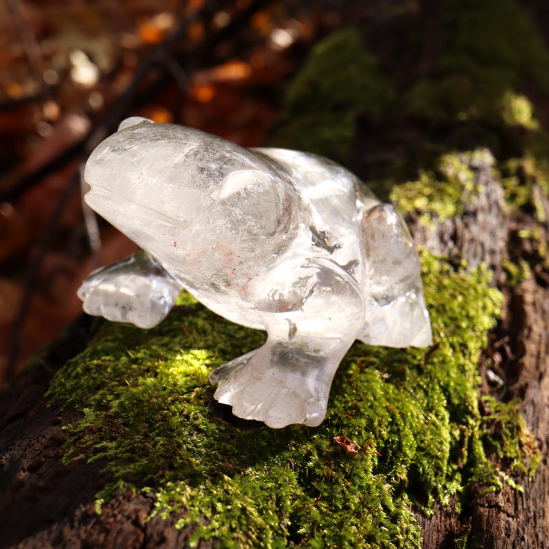 Clear Quartz Crystal Frog Crystal Carvings Crystal Magic 