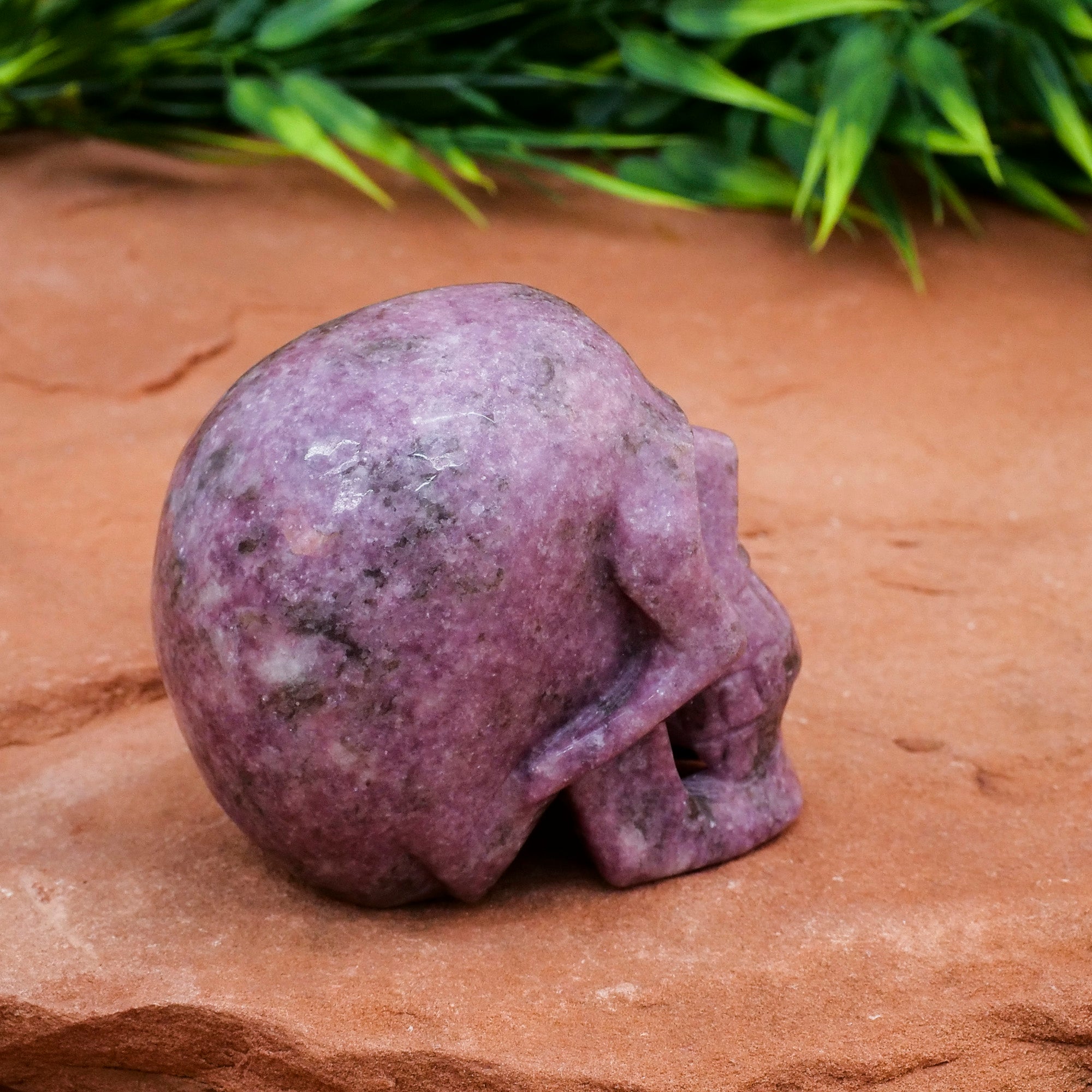 Lepidolite Skull Crystal Skull Crystal Magic 