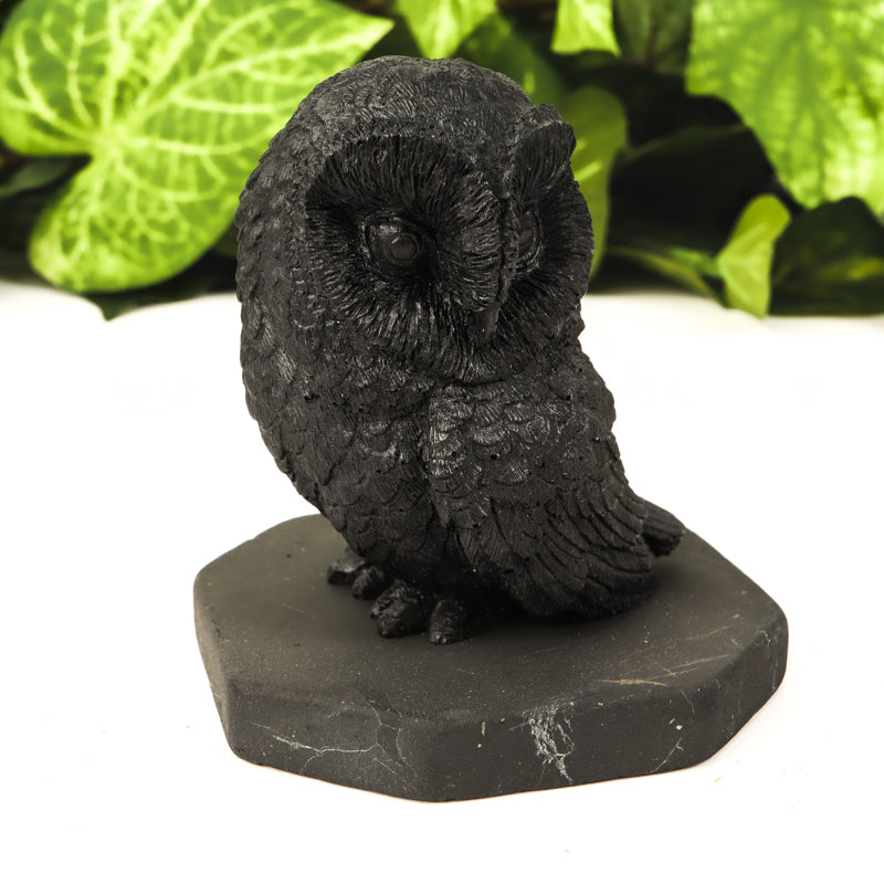 Shungite Wise Owl Crystal Carvings Crystal Magic 
