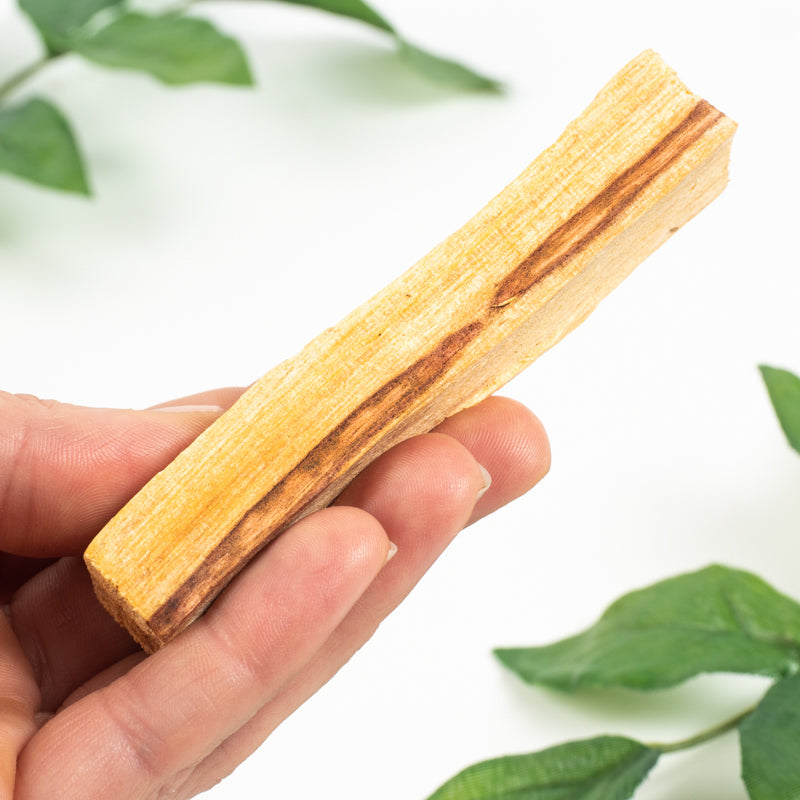 Palo Santo Holy Wood Stick