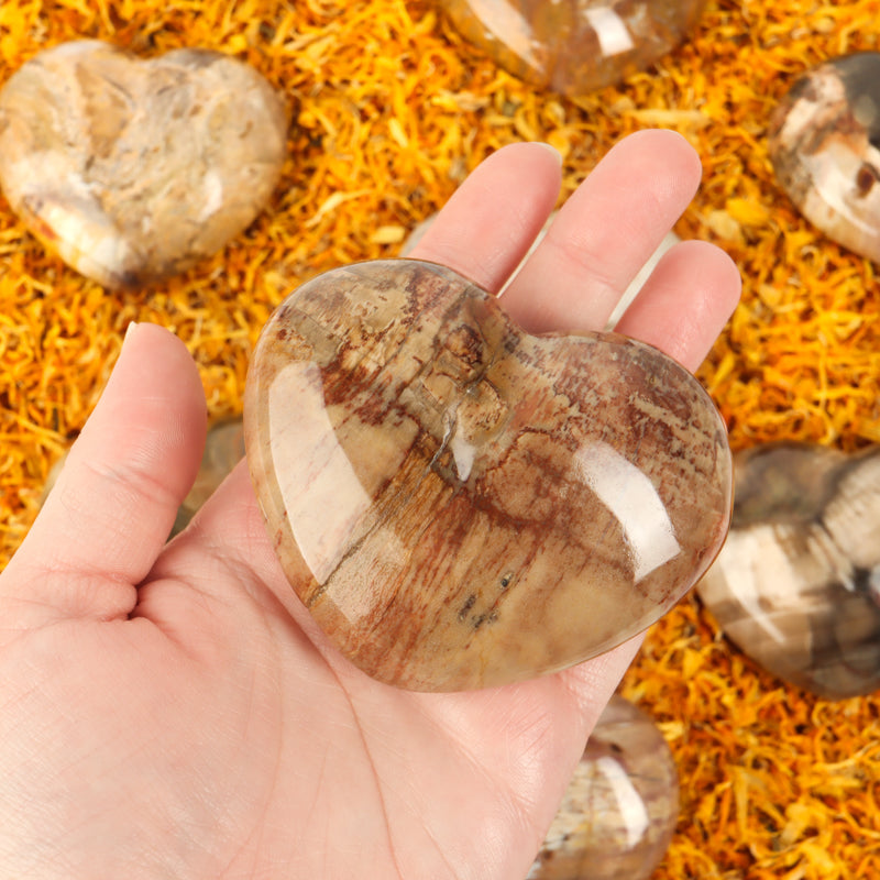 Petrified Wood Heart Crystal Heart Crystal Magic Large 