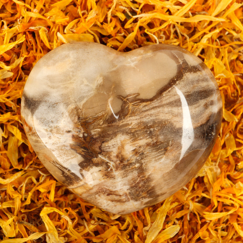 Petrified Wood Heart Crystal Heart Crystal Magic 