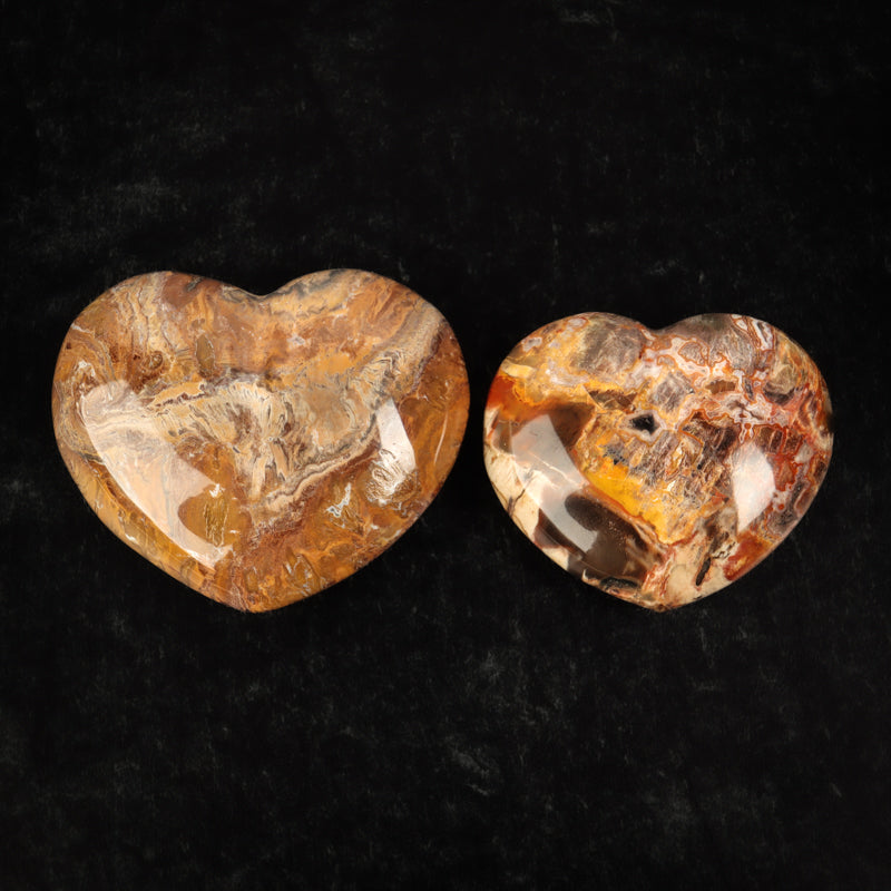Petrified Wood Heart Crystal Heart Crystal Magic 