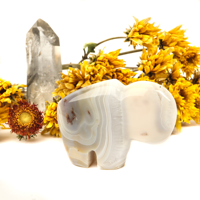 Gray Banded Agate Carved Buffalo Crystal Carvings Crystal Magic online 