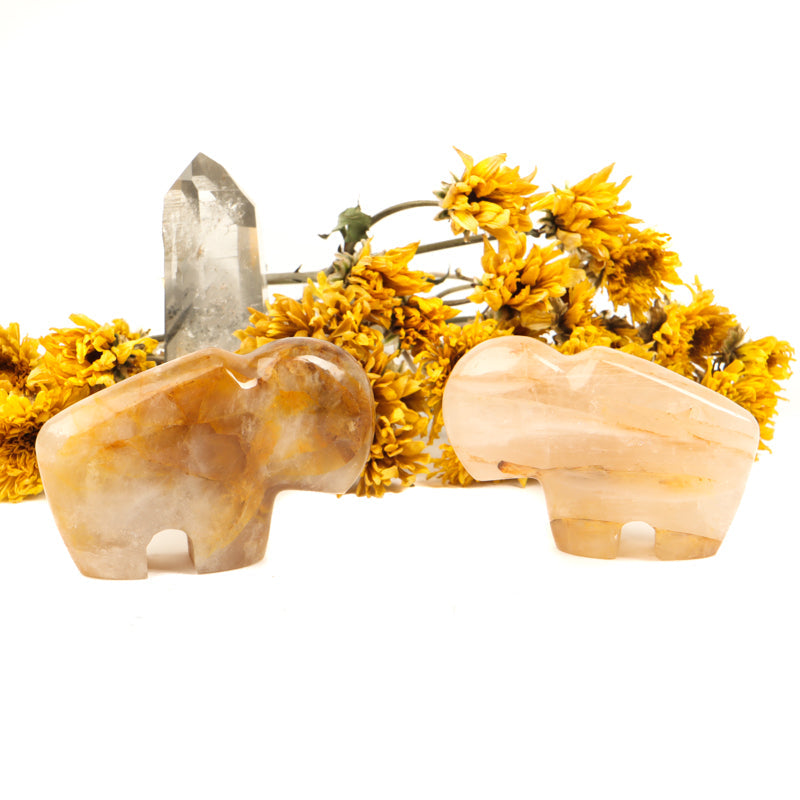Golden Healer Quartz Carved Buffalo Crystal Carvings Crystal Magic 