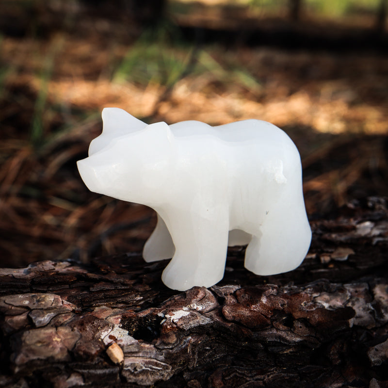White Onyx Carved Bear Crystal Carvings Crystal Magic Clear Large 