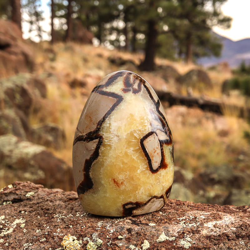 Septarian (Free Form)