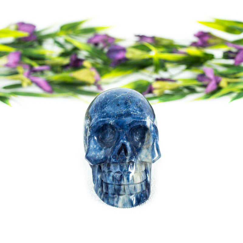 Sodalite Skull Crystal Skull Crystal Magic 