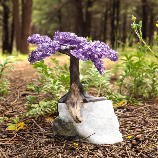 amethysttrees-