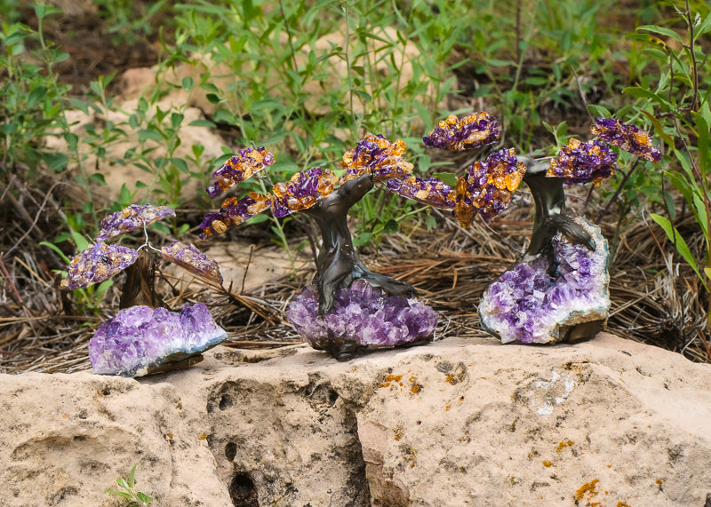 citrine bonsai crystal tree Amethyst Citrine Bonsai Tree