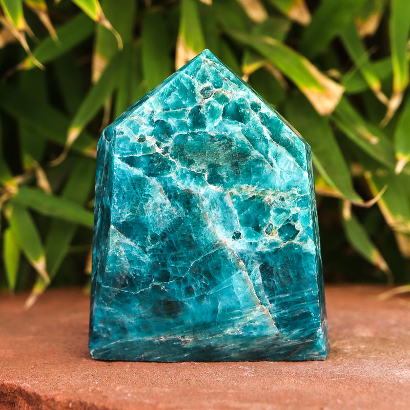 Blue Apatite Point Crystal Point Crystal Magic 