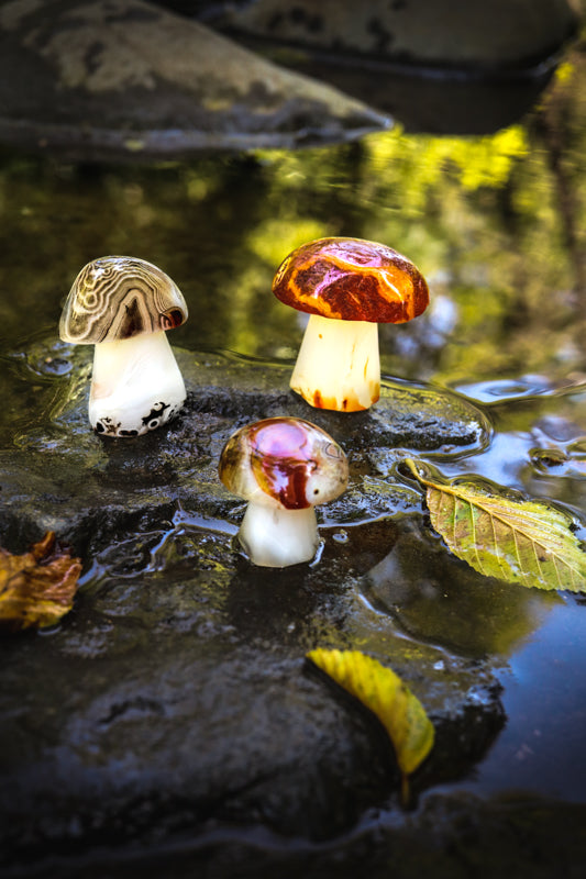 Carnelian Carved Mushroom Crystal Carvings Crystal Magic 