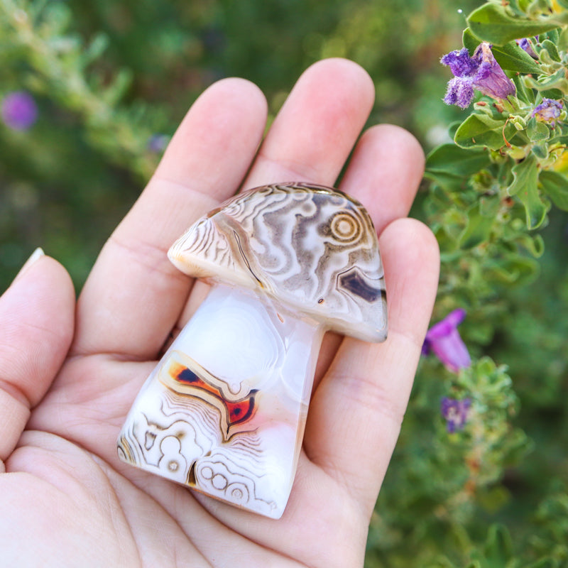 Carnelian Carved Mushroom Crystal Carvings Crystal Magic Medium 