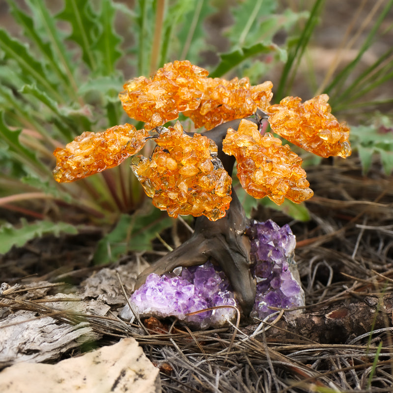 citrine money tree Citrine Chip Tree