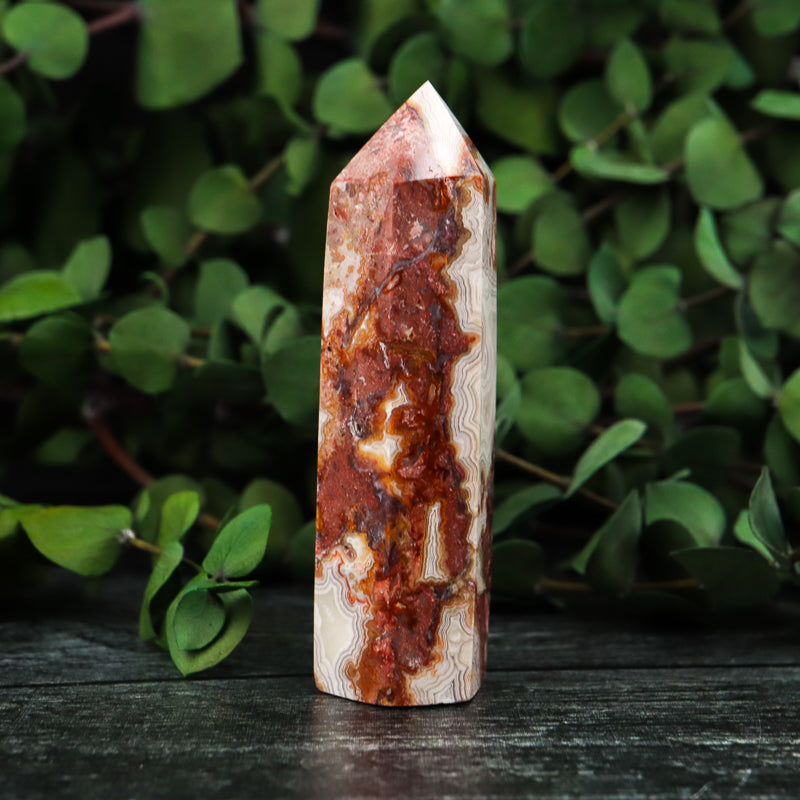 Red Crazy Lace Agate Point