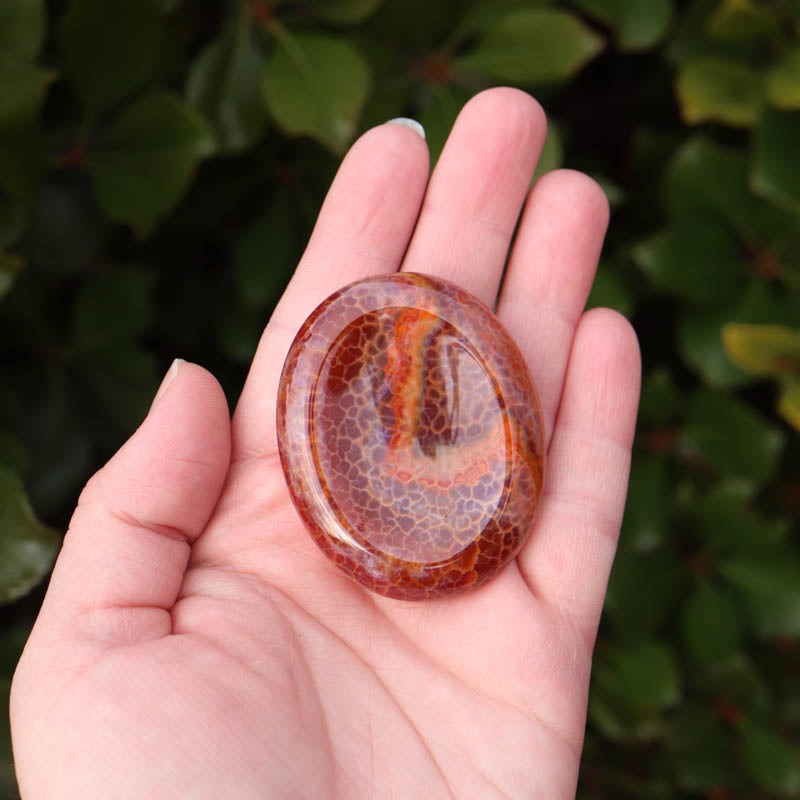 Fire Agate Palm Stone Crystal Palm Stones Aries 
