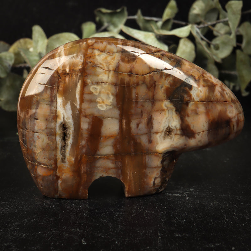 Petrified Wood Bear Crystal Carvings Crystal Magic 