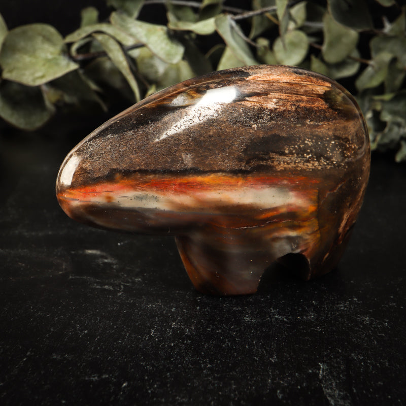 Fossil Wood Hearts  Buy Petrified Wood Online