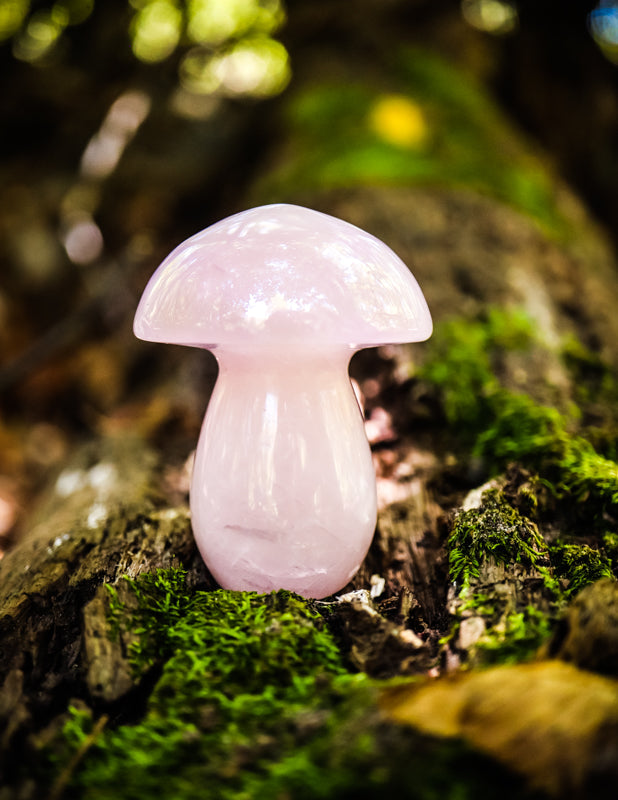 Rose Quartz Mushroom Crystal Carvings Crystal Magic 