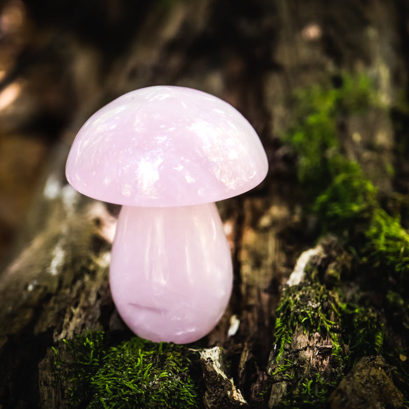 Rose Quartz Mushroom Crystal Carvings Crystal Magic 