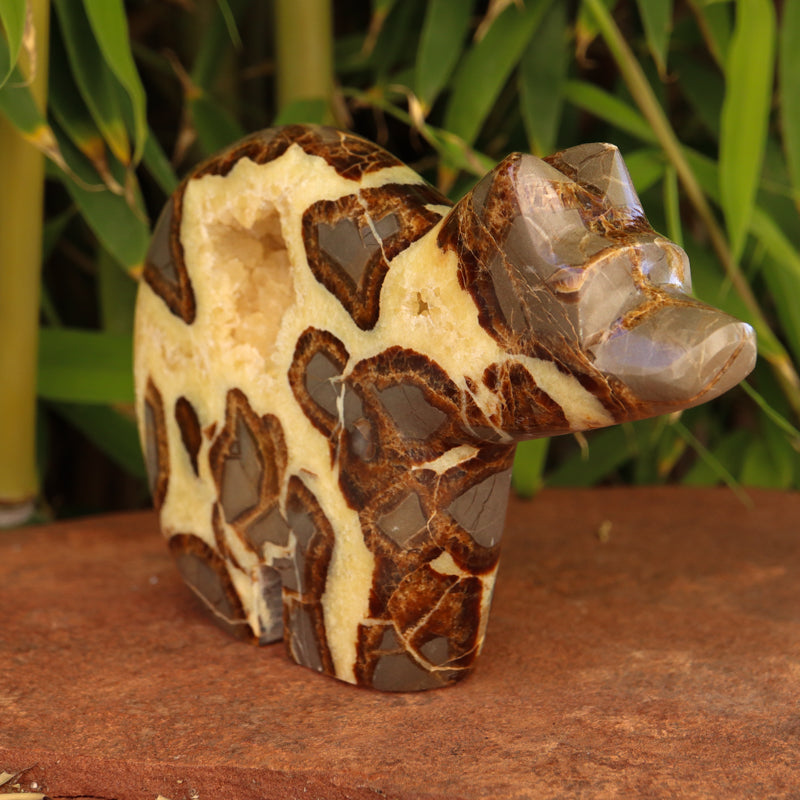Large Septarian Bear with Geode Crystal Carvings Crystal Magic 