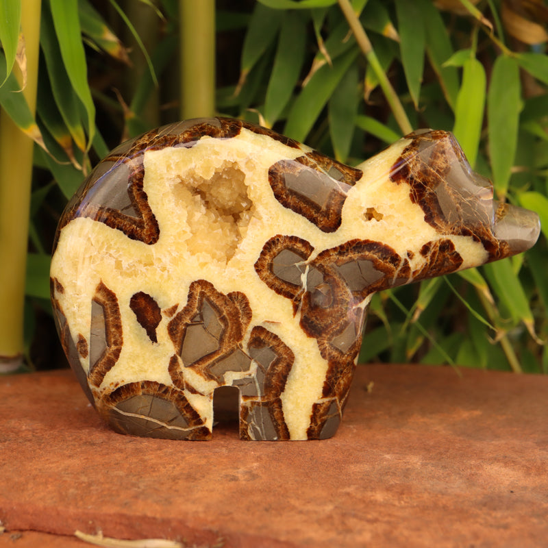 Large Septarian Bear with Geode Crystal Carvings Crystal Magic 