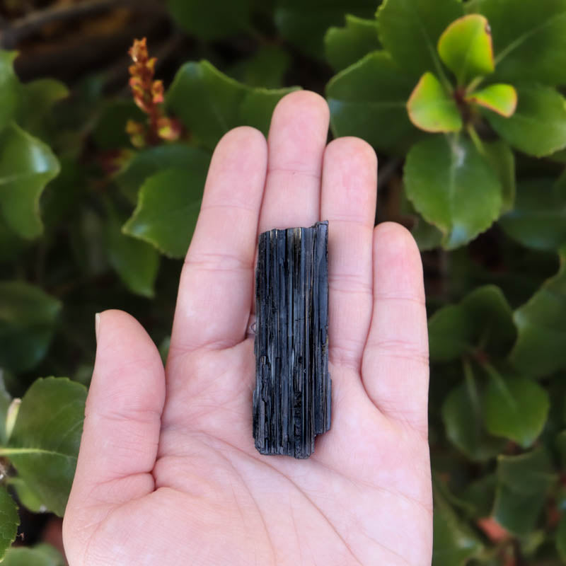 Raw Brazilian Black Tourmaline Sheathe Crystal Chunk Crystal Magic Medium 
