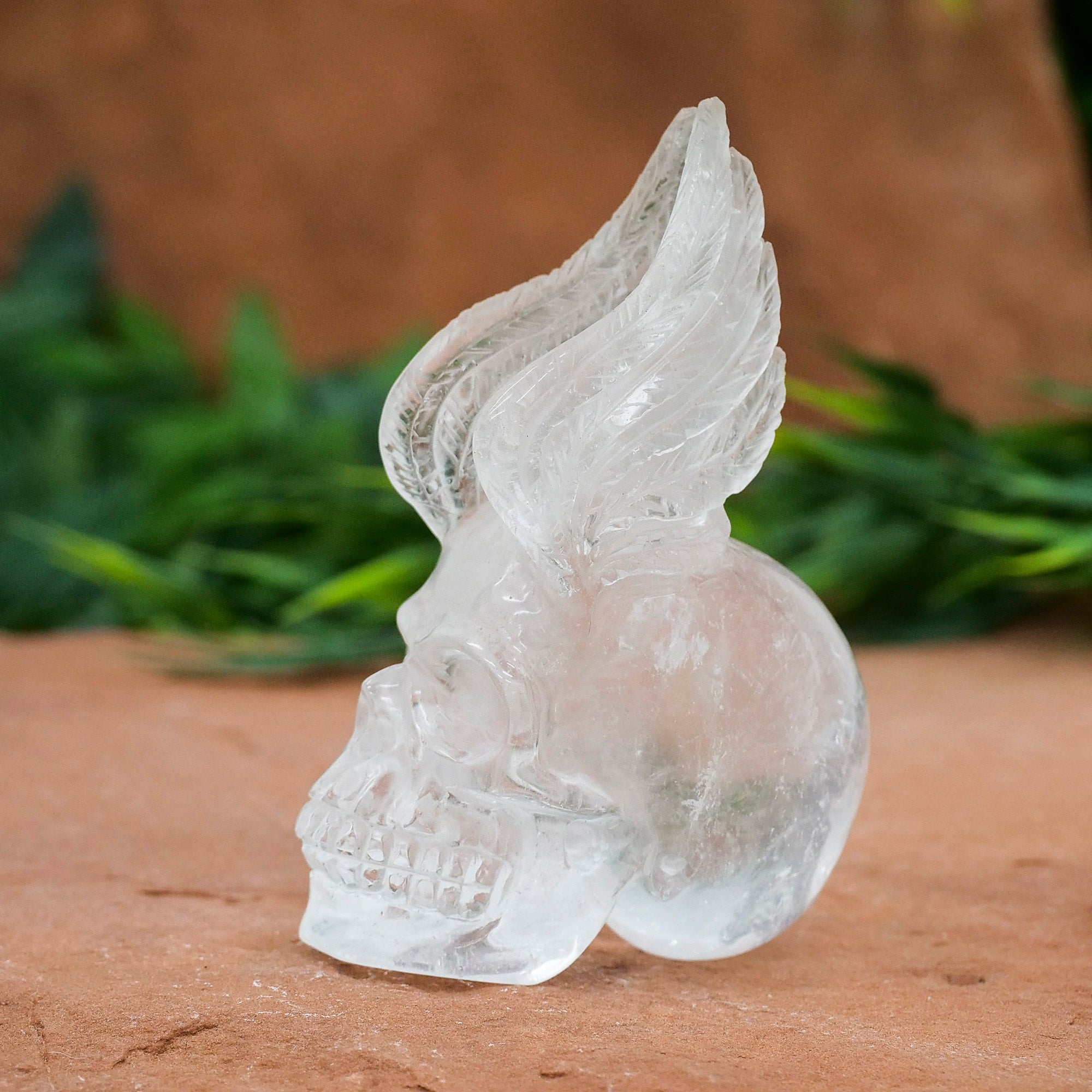 Amazing online Crystal Clear Quartz Hand Carved Skull