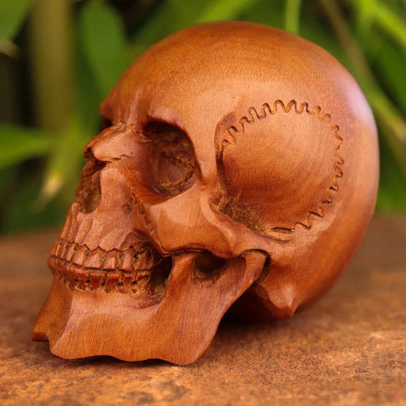 Hand Carved Teak wood Skull Crystal Skull Aquarius 